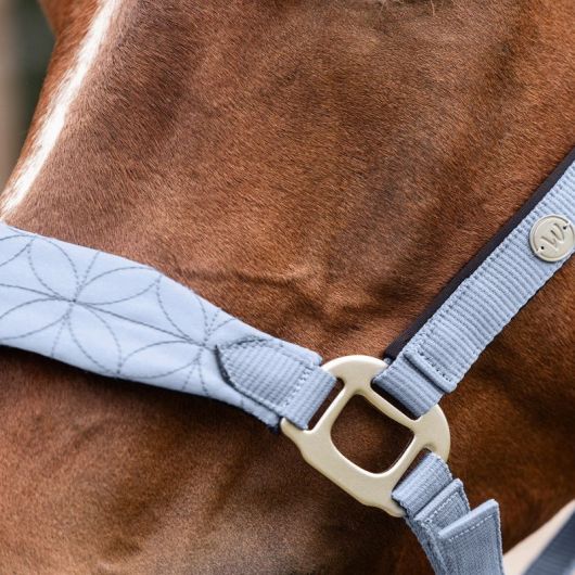 Licol cheval Rom - Waldhausen