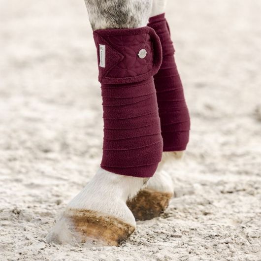 Bandes de polo cheval Rom - Waldhausen