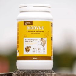 Biotine cheval Biodyne - Ravene