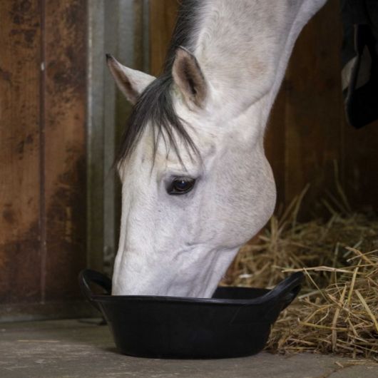 Mangeoire caoutchouc 11 L