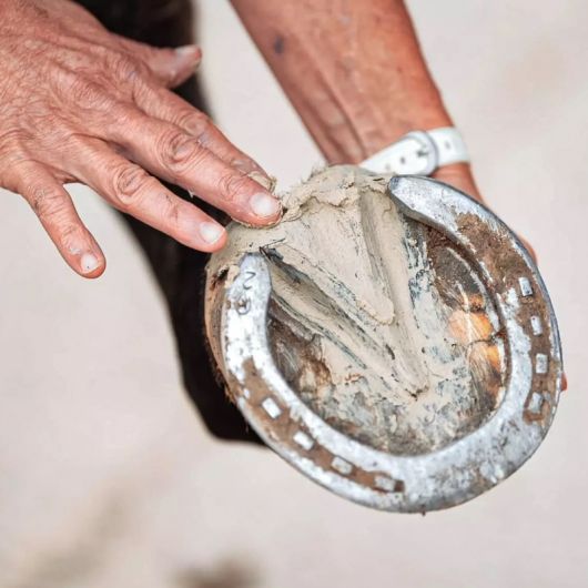 Pediplaste argile sabot cheval - Ravene