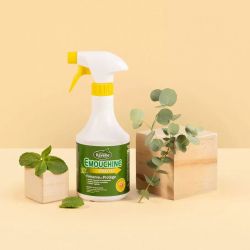 Emouchine cheval Protec spray 500mL - Ravene