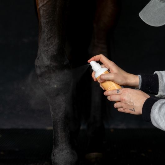 Top Clean - spray assainissant cheval - Alodis Care