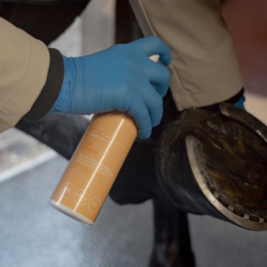 Top Clean - spray assainissant cheval - Alodis Care