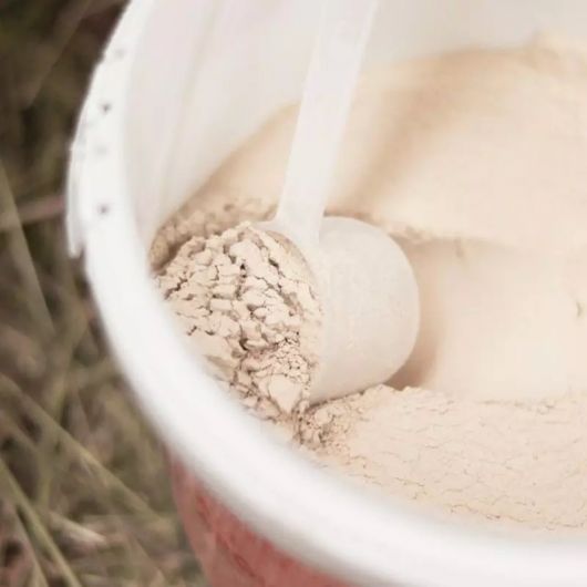 Ali Argile - Complément minéral digestif cheval - Alodis Care