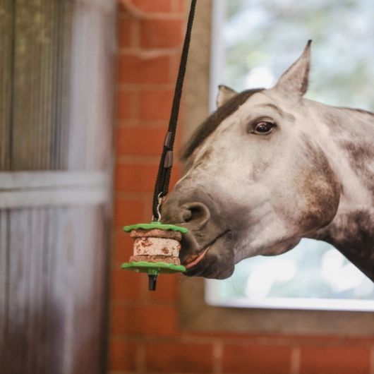 Friandise cheval Sandwich 195g Delizia 