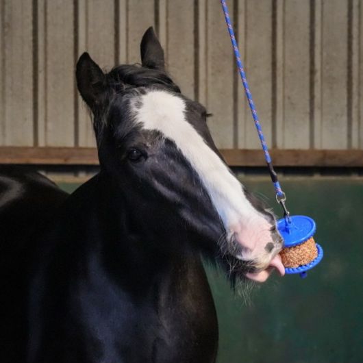 Likit Granolo pierre à lécher cheval faible en sucres - Likit