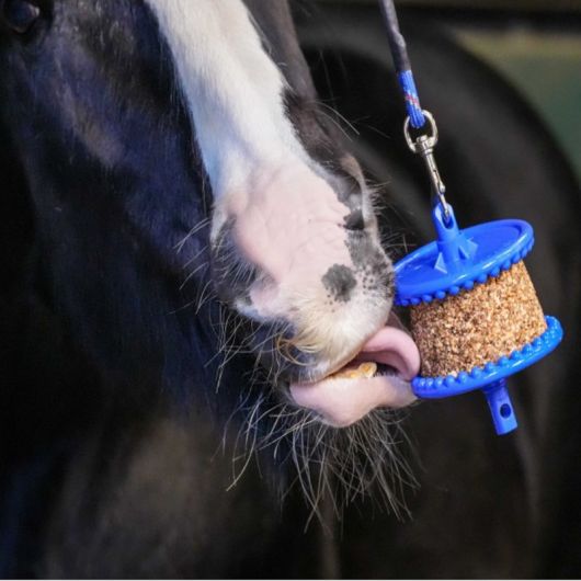 Likit Granolo pierre à lécher cheval faible en sucres - Likit