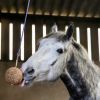 Boule à lécher cheval faible en sucres Granolo Stall Ball - Likit
