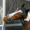 Boule à lécher cheval faible en sucres Granolo Stall Ball - Likit