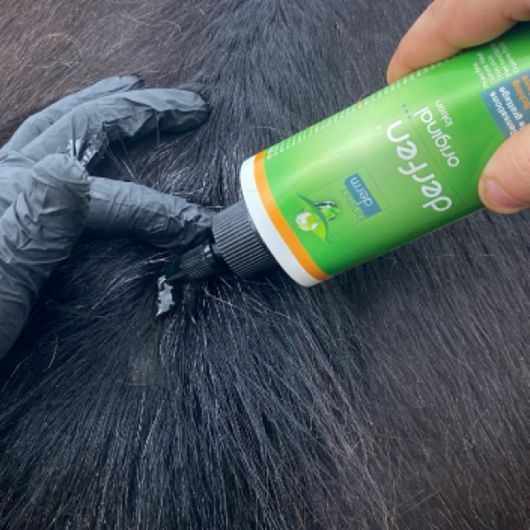 Derfen Original Lotion dermite cheval (peau fine/souple) 250 ml - Animaderm