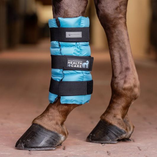Guêtre rafraîchissante cheval - Waldhausen Guêtre rafraîchissante cheval - Waldhausen