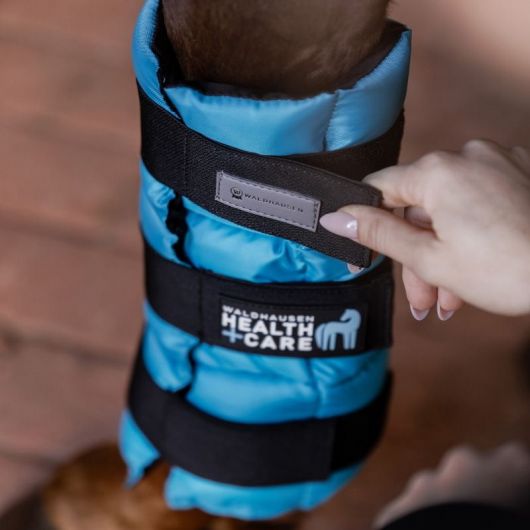 Guêtre rafraîchissante cheval - Waldhausen