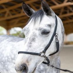 Licol grooming cheval Dialou - Pro-Confort Horsewear 