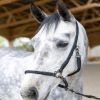 Licol grooming cheval Dialou - Pro-Confort Horsewear 