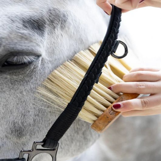 Licol grooming cheval Dialou - Pro-Confort Horsewear 
