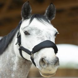 Set licol + longe cheval mesh ergonomique Dorai - Pro-Confort Horsewear 