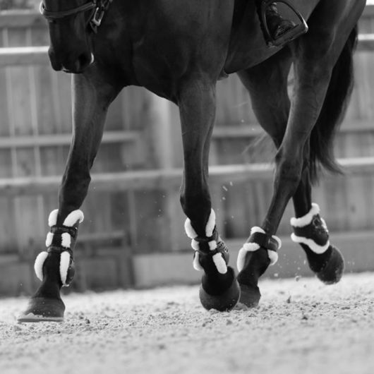 Doublure protection mouton cheval Chalou - Pro-Confort Horsewear