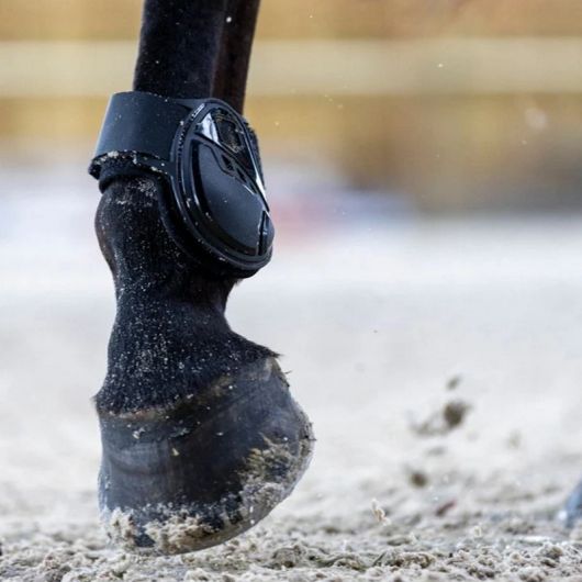 Protège boulets cheval Cordial - Pro-Confort Horsewear