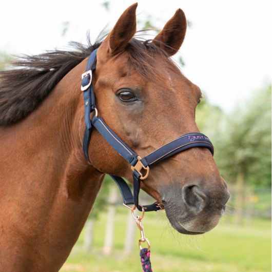 Licol et longe cheval Just Ride Nightsky - Harry's Horse