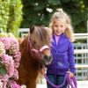 Veste zippé équitation enfant Diva Violet - Harry's Horse