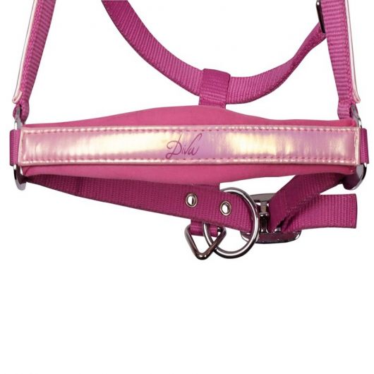 Licol et longe poney Diva - Harry's Horse