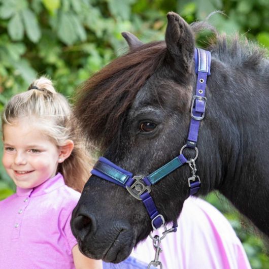 Licol et longe poney Diva - Harry's Horse Licol et longe poney Diva - Harry's Horse