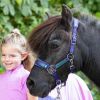 Licol et longe poney Diva - Harry's Horse