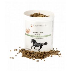 Magnésium en poudre 1 kg - Waldhausen