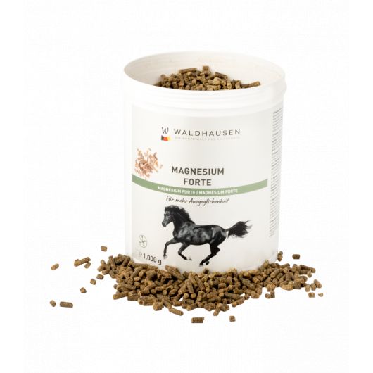 Magnésium en poudre 1 kg - Waldhausen Magnésium en poudre 1 kg - Waldhausen