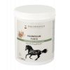 Magnésium en poudre 1 kg - Waldhausen