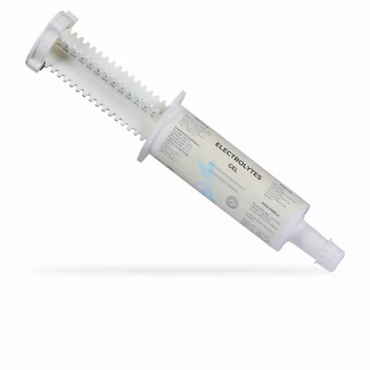 Seringue Electrolytes cheval Date courte - Nutragile Seringue Electrolytes cheval Date courte - Nutragile