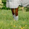 Gûetres anti-mouche anti-uv cheval Newmarket - Horseware 