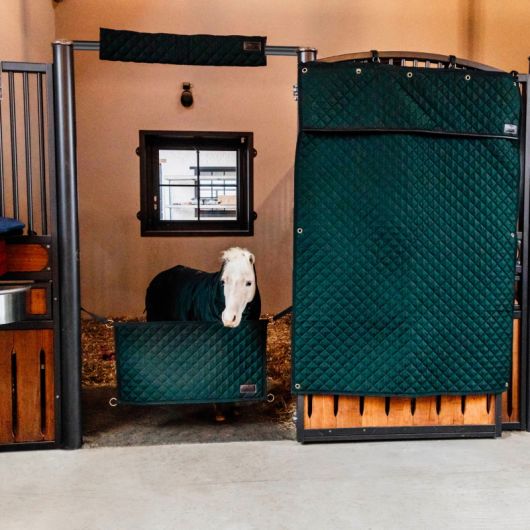Protection de box cheval pour tête - Kentucky
