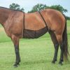 Protection ventrale anti-mouche cheval Quiet Ride - Cashel
