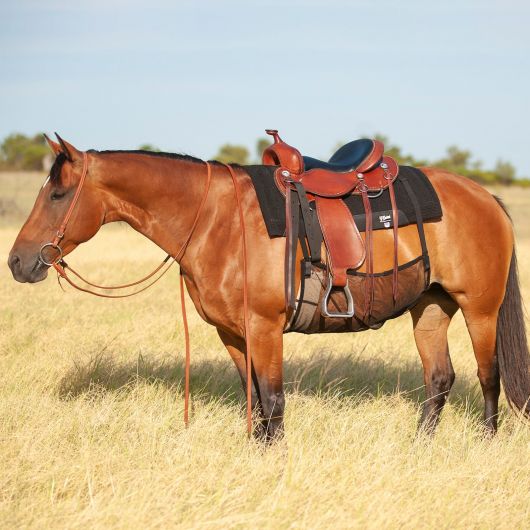Protection ventrale anti-mouche cheval Quiet Ride - Cashel