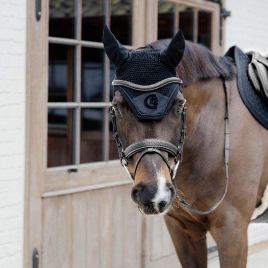 Bridon cheval cuir tressé New English Collection - Dy'on