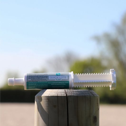 Seringue électrolytes cheval Quick Lyte Date courte - LPC Seringue électrolytes cheval Quick Lyte Date courte - LPC