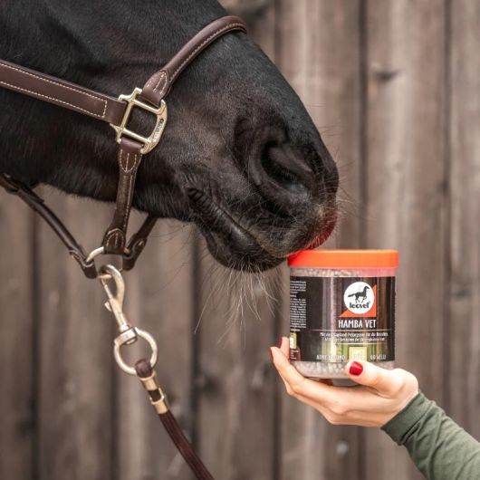 Respiration cheval 700 g Hamba-Vet - Leovet