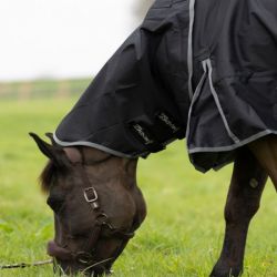 Couvre-cou cheval Muze 200g - Pro-Confort Horsewear