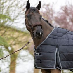 Doublure ergonomique cheval Gab 300g - Pro-Confort Horsewear
