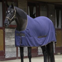 Chemise séchante cheval en lin - Bucas 