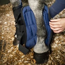 Intérieur stable boots cheval thérapeutiques Ionic - Horseware