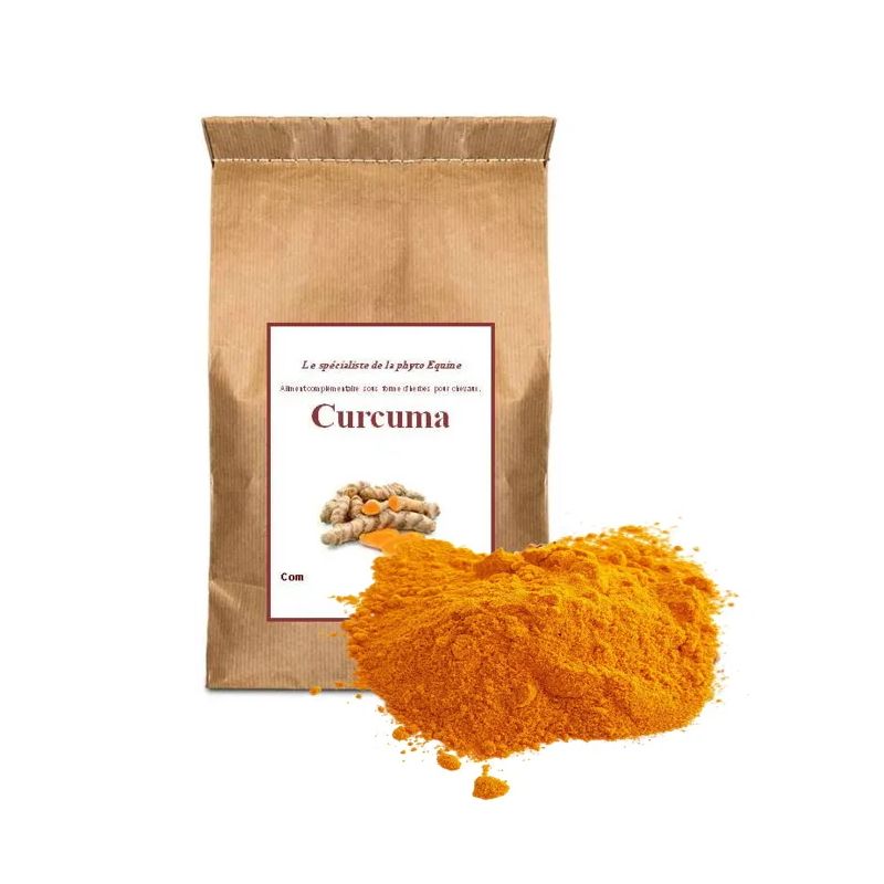Curcuma cheval 100% racines en poudre - Vital Herbs