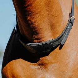 Collier de monte à cru cheval