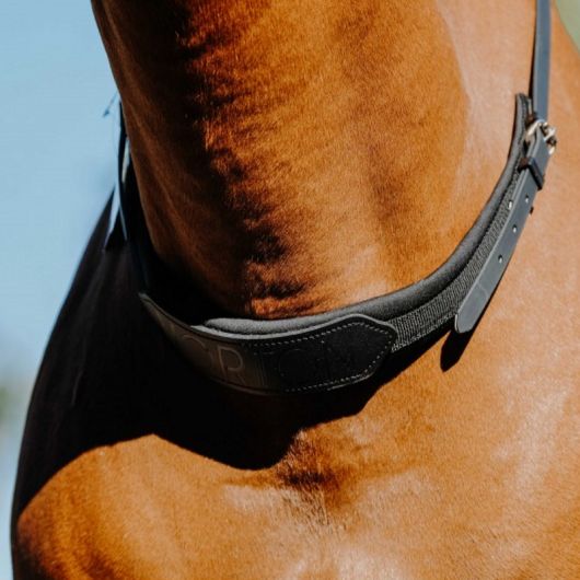 Collier de monte à cru cheval