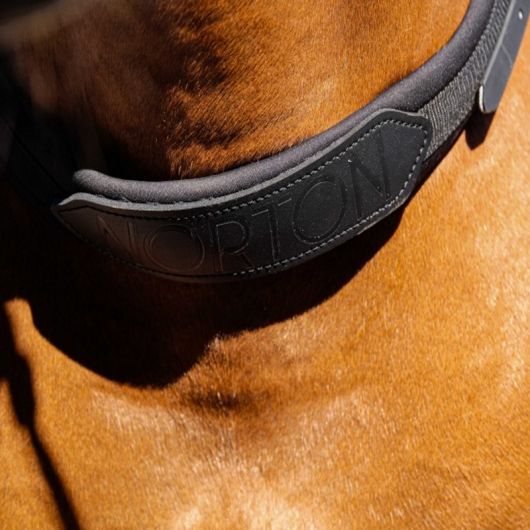 Collier de monte à cru cheval
