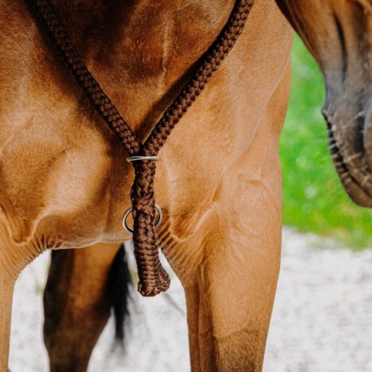 Collier d'encolure éthologique en corde