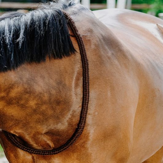 Collier d'encolure éthologique en corde