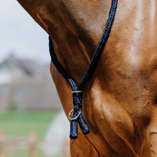 Collier d'encolure éthologique en corde